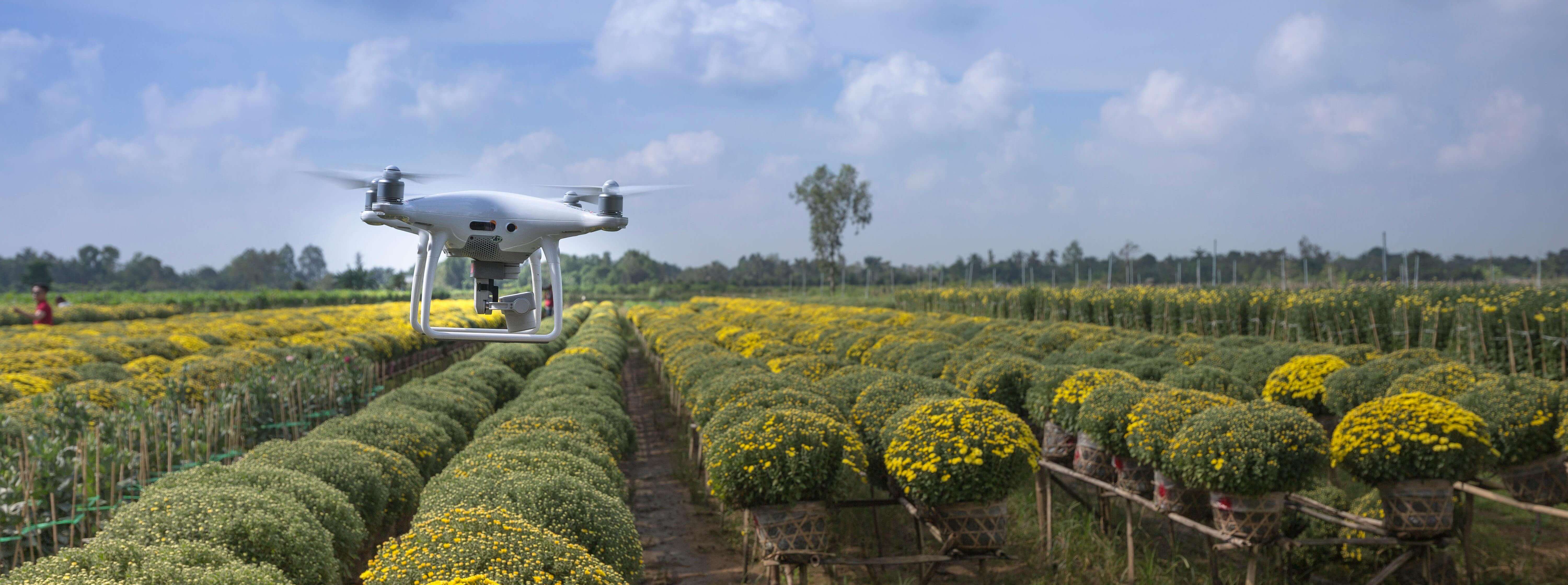 March 2025 Agriculture Insights: Heatwave Risks, AI Solutions, and More!