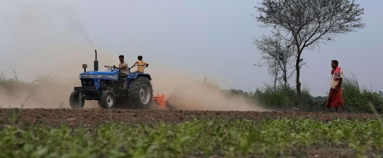 Emerging Trends and Strategic Moves in India's Agriculture Sector: August 2024 Insights