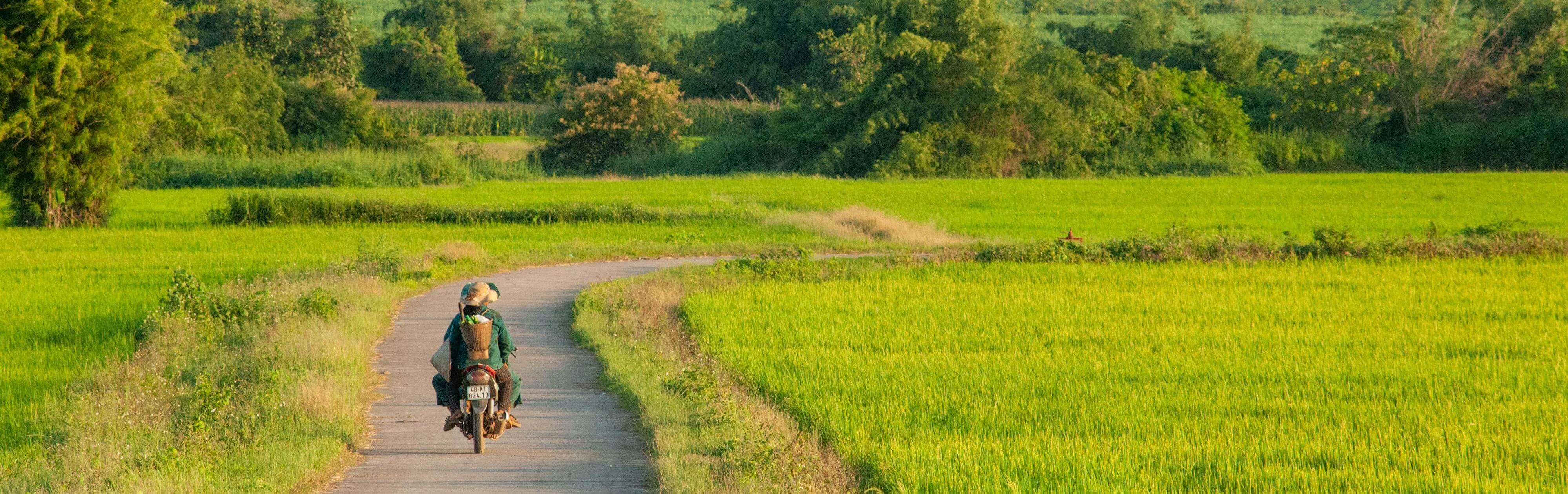 Latest Updates on Pulses Production, Climate-Resilient Seeds, and Technological Innovations