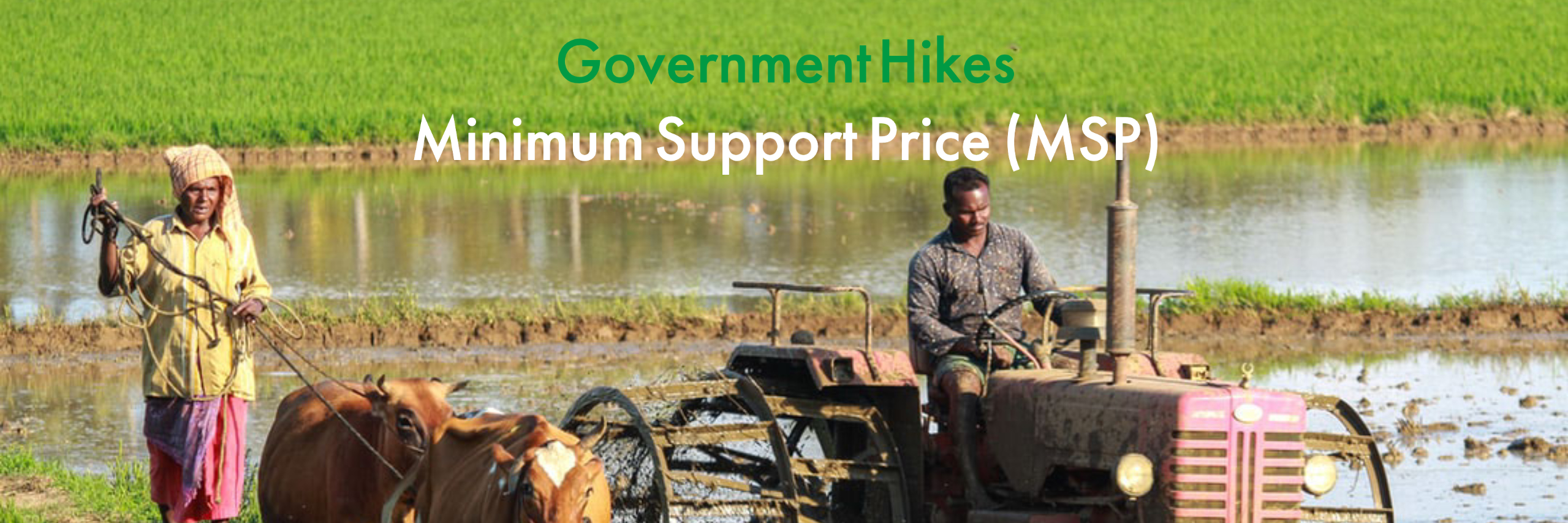Government Hikes Minimum Support Price For Key Kharif Crops