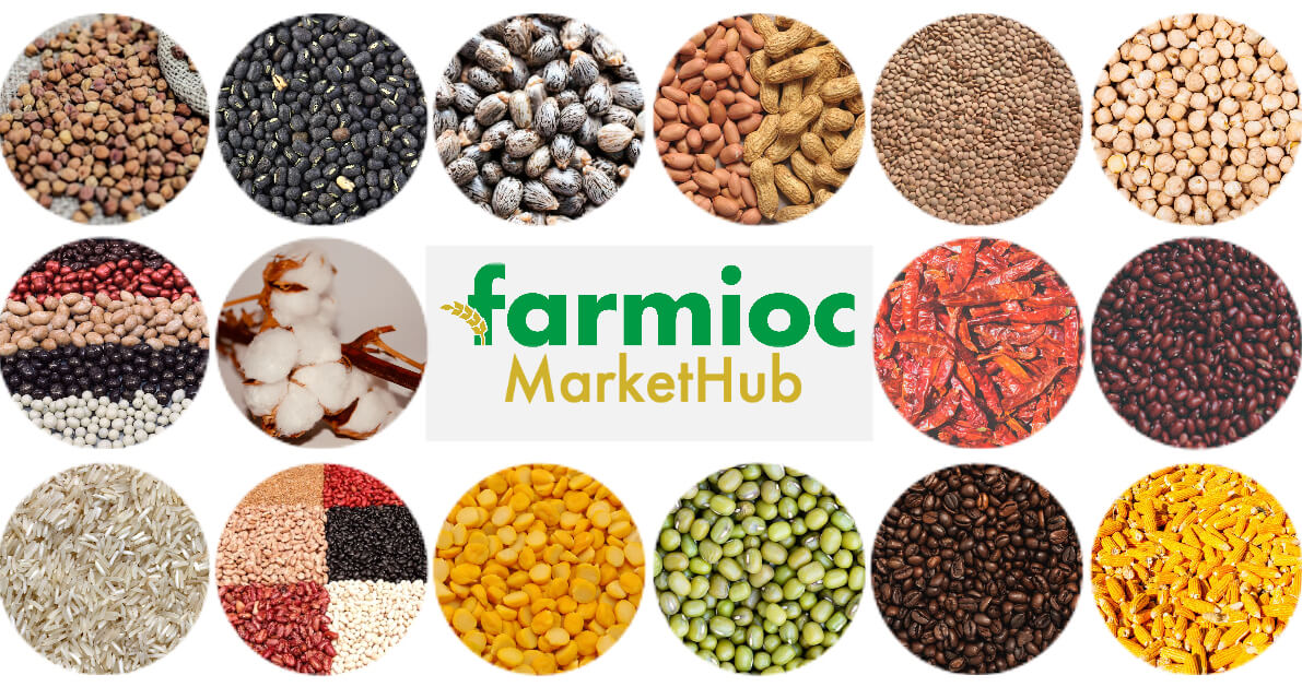 Farmioc MarketHub helps farmers get best price and buyers get best quality
