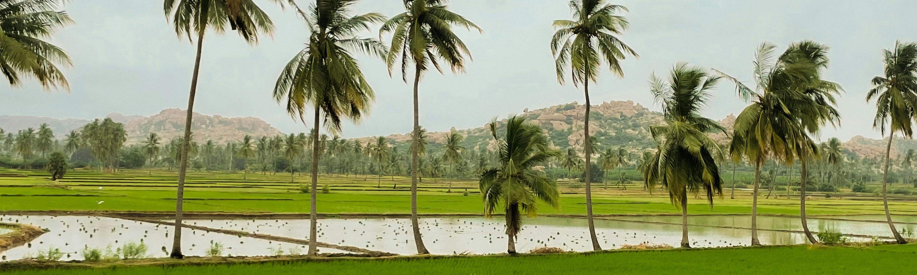 Key Trends, Innovations, and Policy Shifts Driving the Sector Forward: August 2025